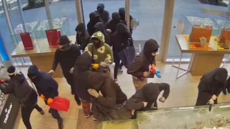 Grupo rouba US$ 1 milhão em joias em shopping na Califórnia. Vídeo