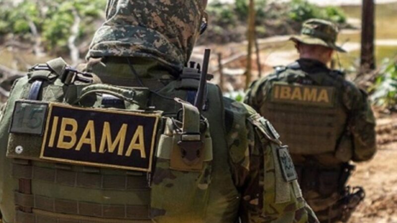 Ibama divulga lista com 460 aprovados; salários são de até R$ 9,9 mil