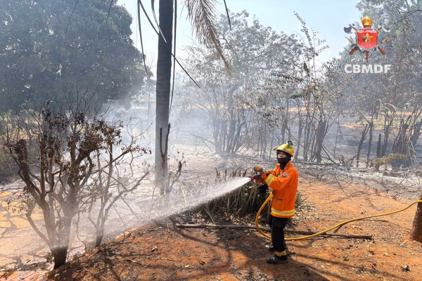 Incêndio florestal volta a atingir o Lago Oeste pelo 2º dia consecutivo