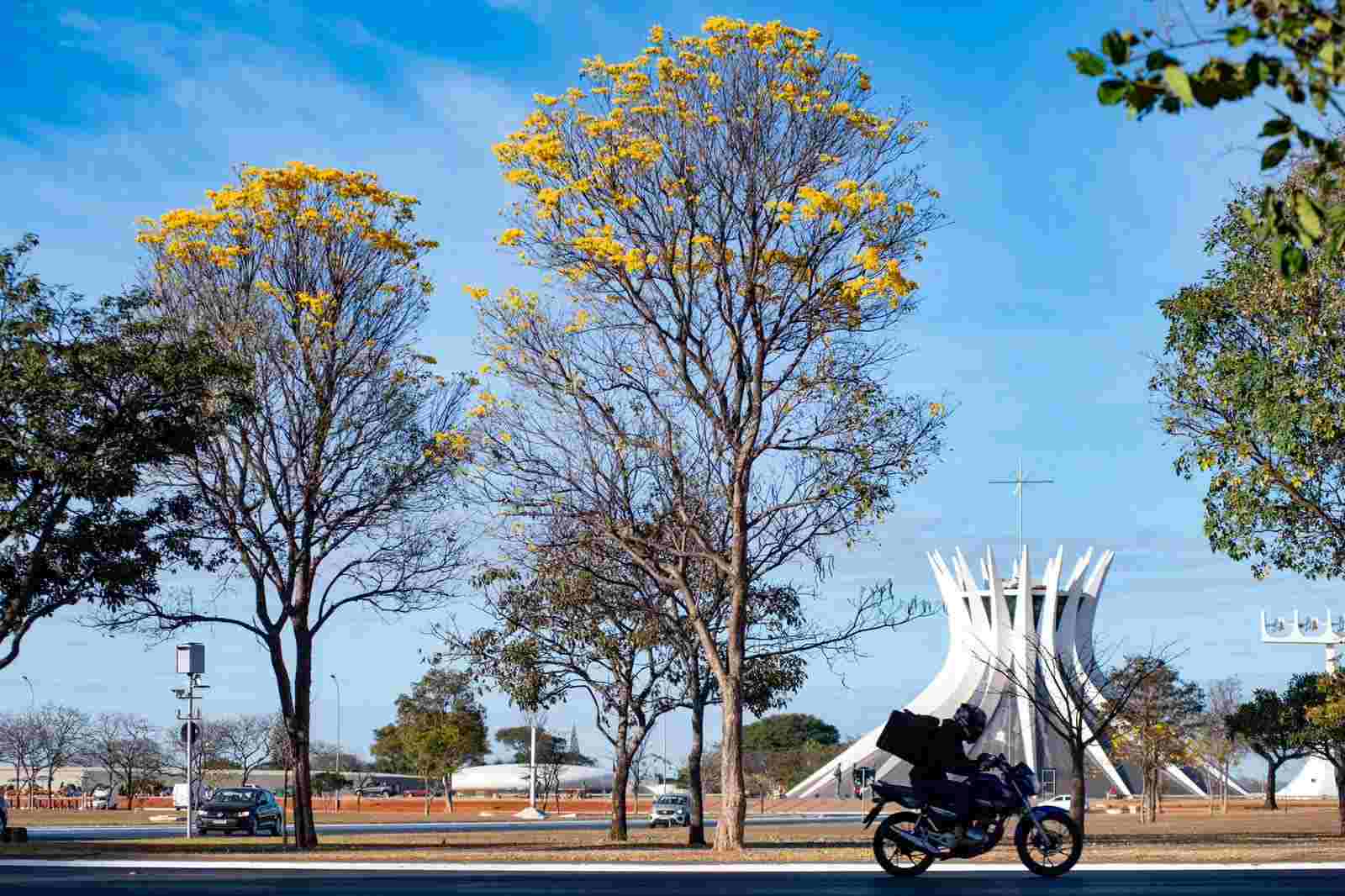 Chegou a primavera! Estação começa no DF com calor e chuvas isoladas