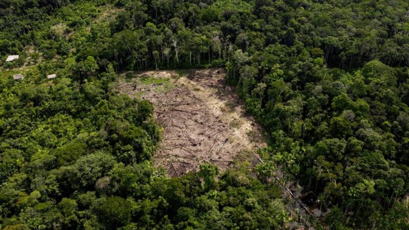 Incêndios na Amazônia comprometem qualidade do ar em outros países