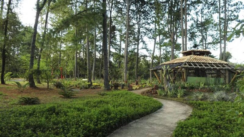 Jardim Botânico de Brasília estará fechado de 9 a 12 de setembro