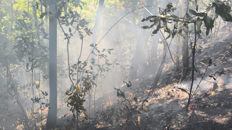 Incêndio em área ambiental de Pirenópolis está controlado, diz CBMGO
