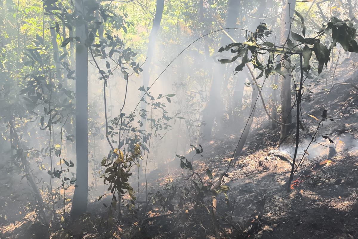 Incêndio em área ambiental de Pirenópolis está controlado, diz CBMGO