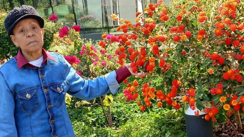 Amor pela jardinagem: morre primeira jardineira da Novacap aos 79 anos