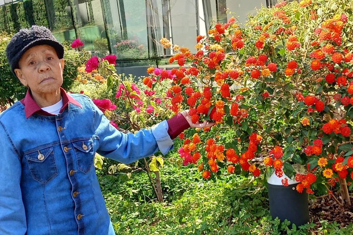 Amor pela jardinagem: morre primeira jardineira da Novacap aos 79 anos