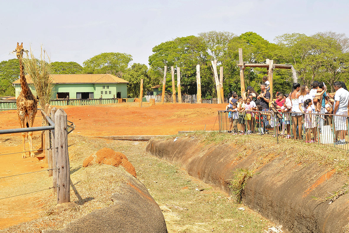 Zoológico de Brasília lança edital para projeto de experiência imersiva com animais