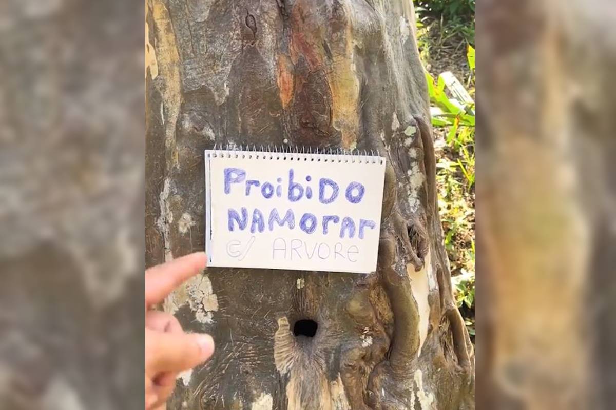 Morador usa pimenta para jovens não transarem com buraco de árvore