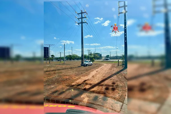 Em menos de 24h, dois carros batem em postes na Epia. Veja imagens