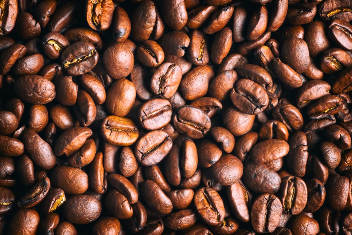 Com tarifaço, exportações de café do Brasil para os EUA caem quase 50%