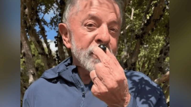 Lula leva jabuticabas para rainha da Suécia: “Surpresa muito bonita”