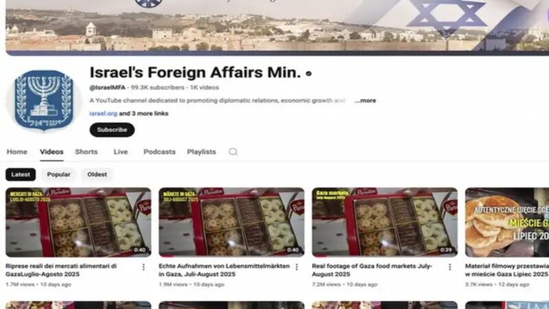 Como Israel vem usando vídeos pagos para negar fome em Gaza