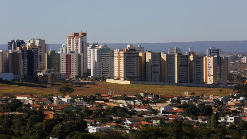Homem é preso após colocar fogo em área de mata no DF