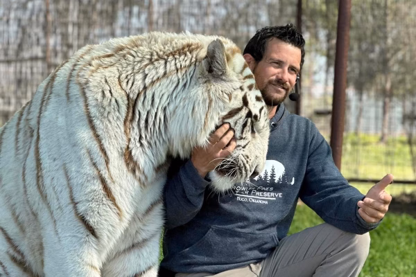 Cuidador morre após ser atacado por tigre durante apresentação
