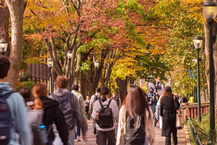 Cinco competências essenciais para o futuro do trabalho — e como desenvolvê-las na universidade