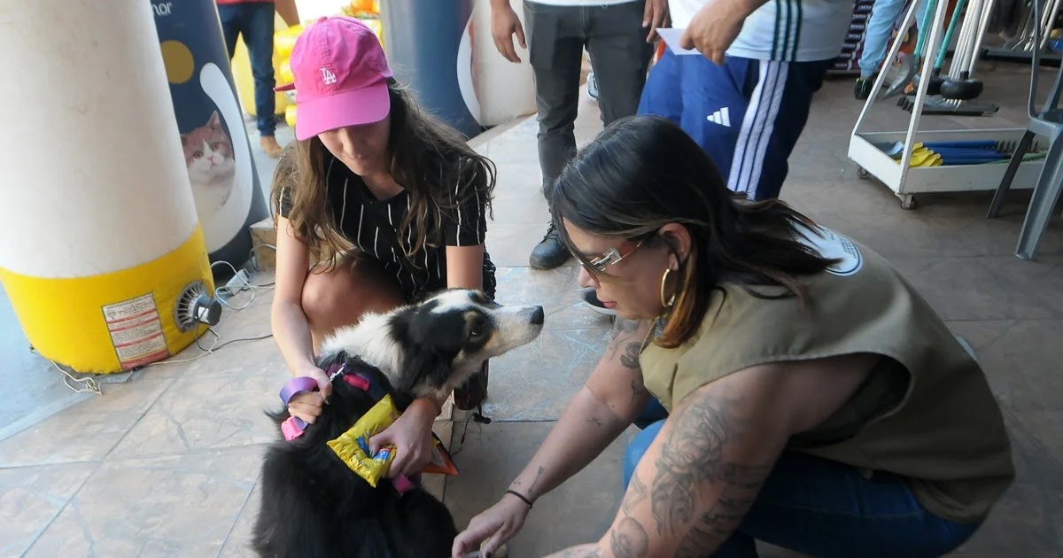 Campanha de vacinação contra raiva em cães e gatos tem início neste sábado (11/10) no DF