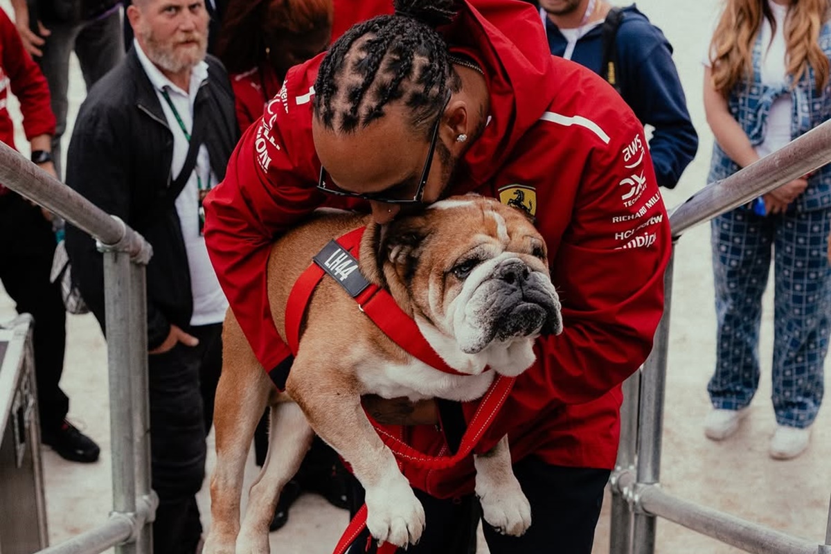 Cão falecido de Hamilton ganha homenagem no GP do México. Confira