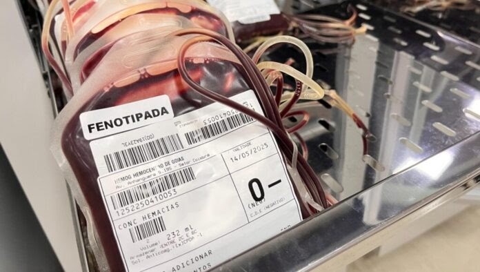 Hemocentro de Goiás faz apelo e alerta para estoques críticos de sangue