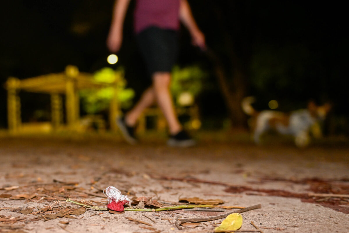 grupo tentou roubar outro jovem meia hora antes de esfaquear Isaac