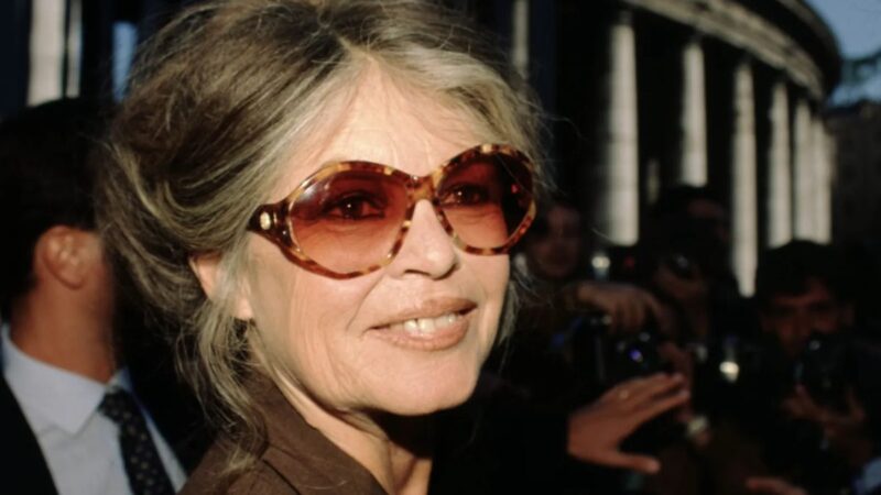 Brigitte Bardot, 91 anos, passa por cirurgia e recebe alta, diz nota