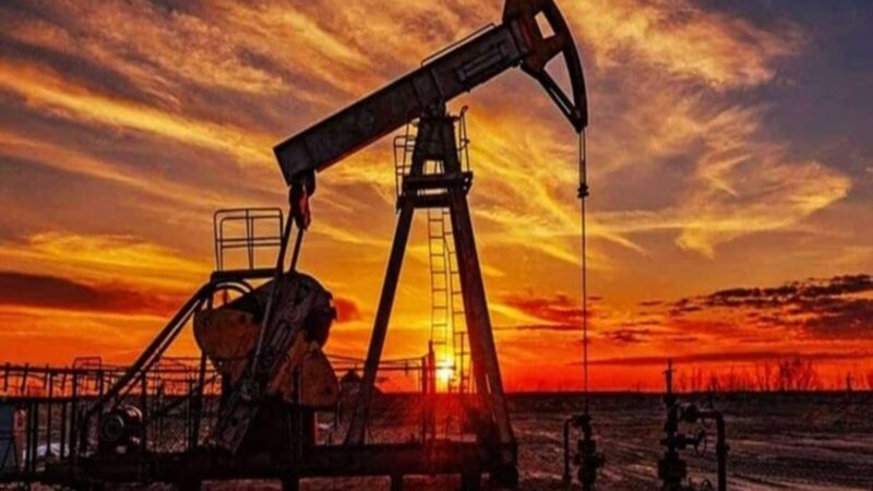 Ibama libera Petrobras a pesquisar petróleo na Foz do Amazonas