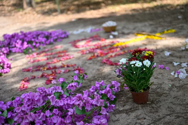 “Educado e simpático”, dizem vizinhos sobre estudante morto no DF