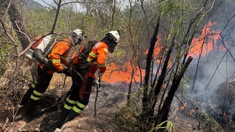 Raios provocam novo foco de incêndio na Chapada dos Veadeiros