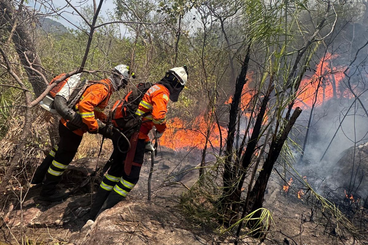 Raios provocam novo foco de incêndio na Chapada dos Veadeiros