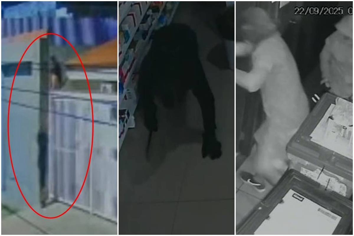 Ladrões invadem farmácia pelo telhado e levam dinheiro e medicamentos