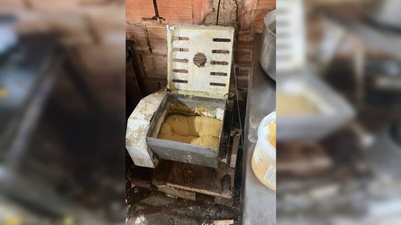 Salgados feitos em fábrica infestada de baratas eram vendidos em feira