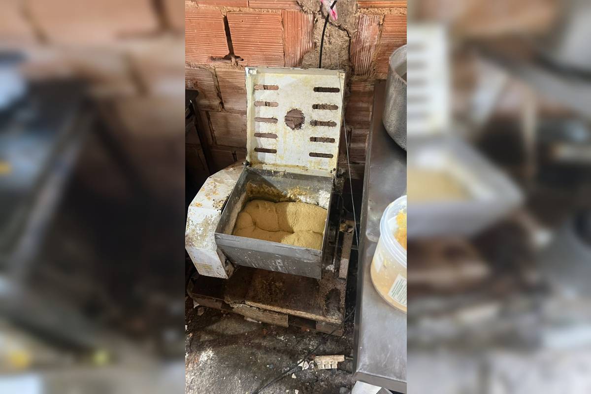 Salgados feitos em fábrica infestada de baratas eram vendidos em feira