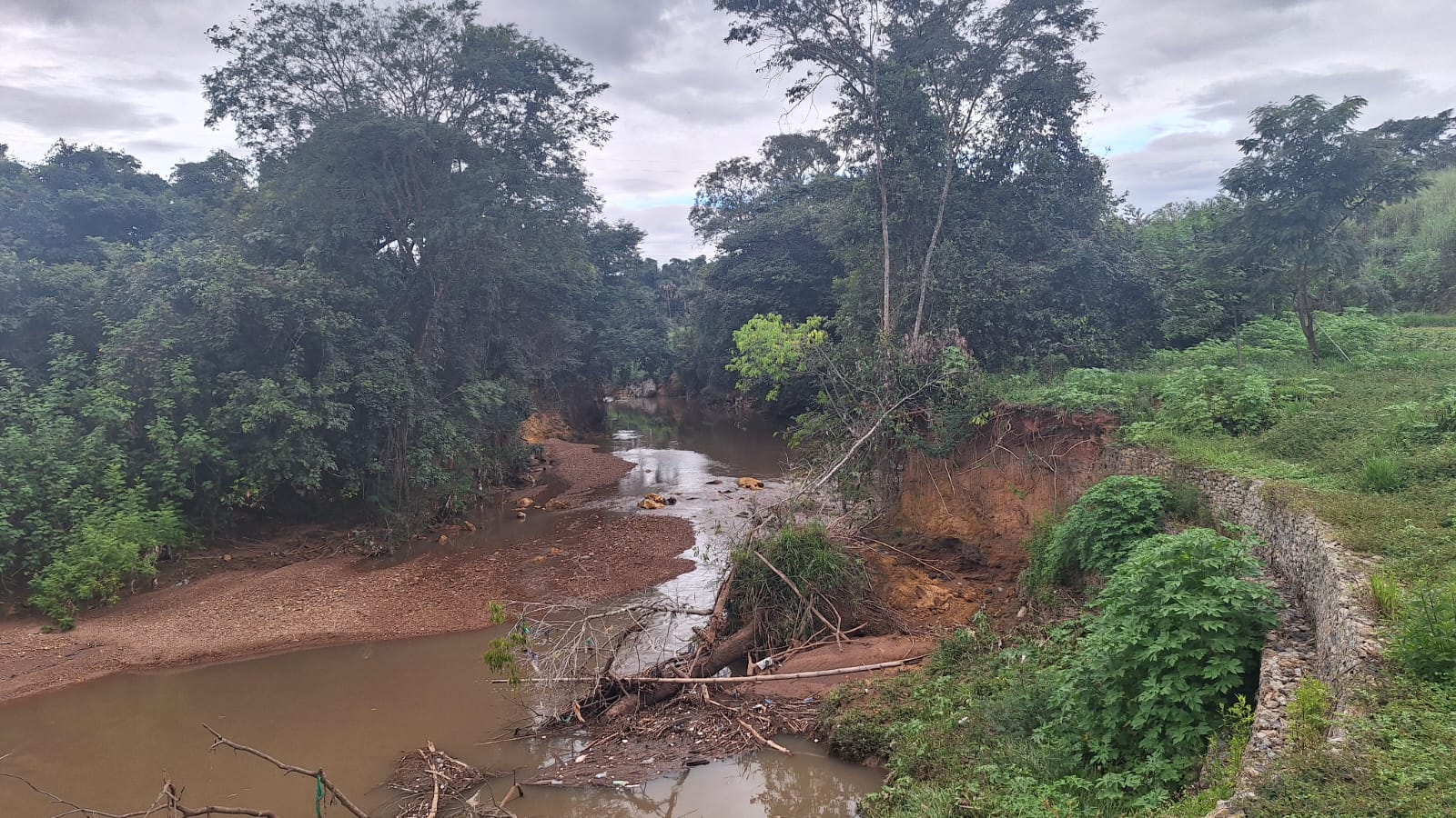 Projeto de reflorestamento da Bacia do Rio Melchior terá plantio em 100 hectares