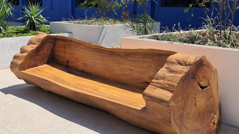 Servidores transformam pedaços de troncos em peças únicas em marcenaria da Novacap