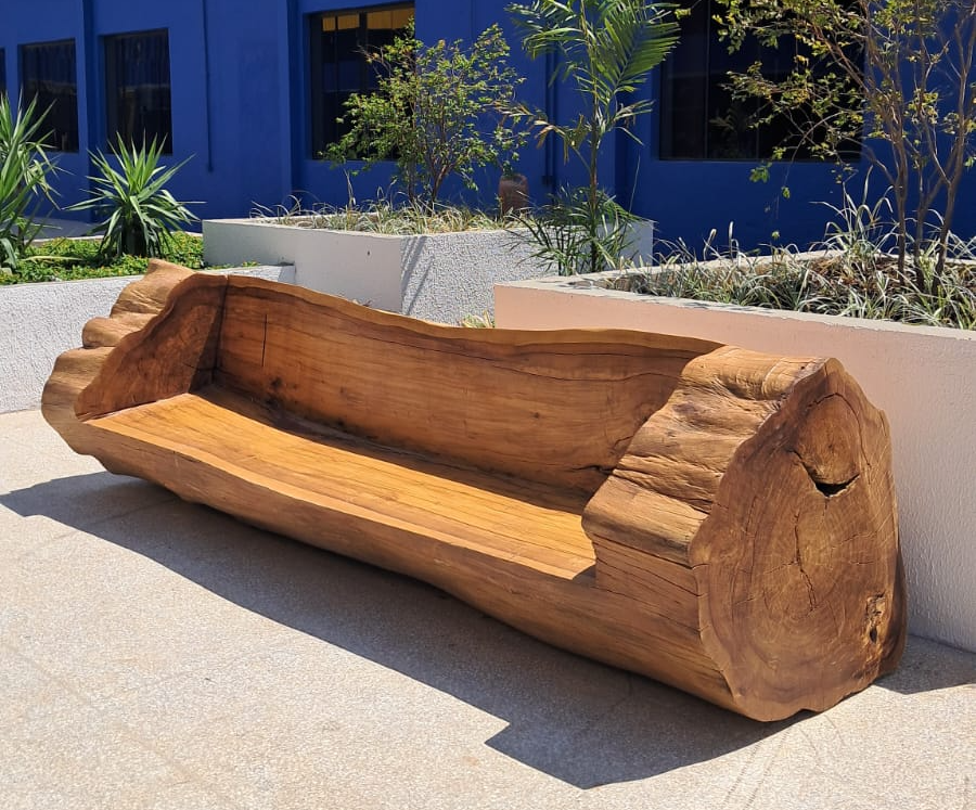 Servidores transformam pedaços de troncos em peças únicas em marcenaria da Novacap