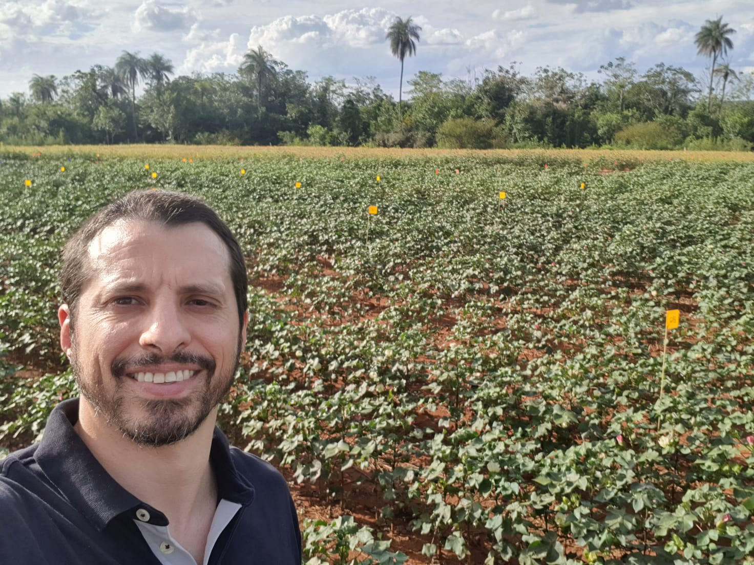 Pesquisa apoiada pela FAPDF mostra o carbono como aliado da agricultura sustentável 