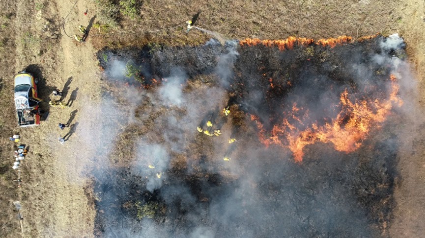Pesquisa da UnB com apoio da FAPDF estuda uso de produtos químicos no combate a incêndios florestais