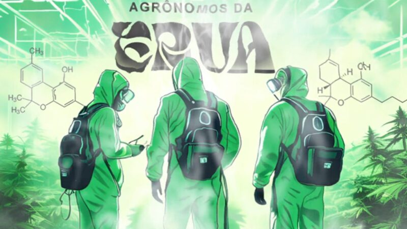 Venda de “sementes da noia” faz agrônomos da erva pegarem pena pesada