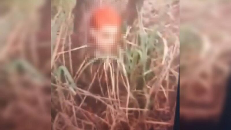 Faccionado do CV foi decapitado e teve cabeça amarrada em árvore