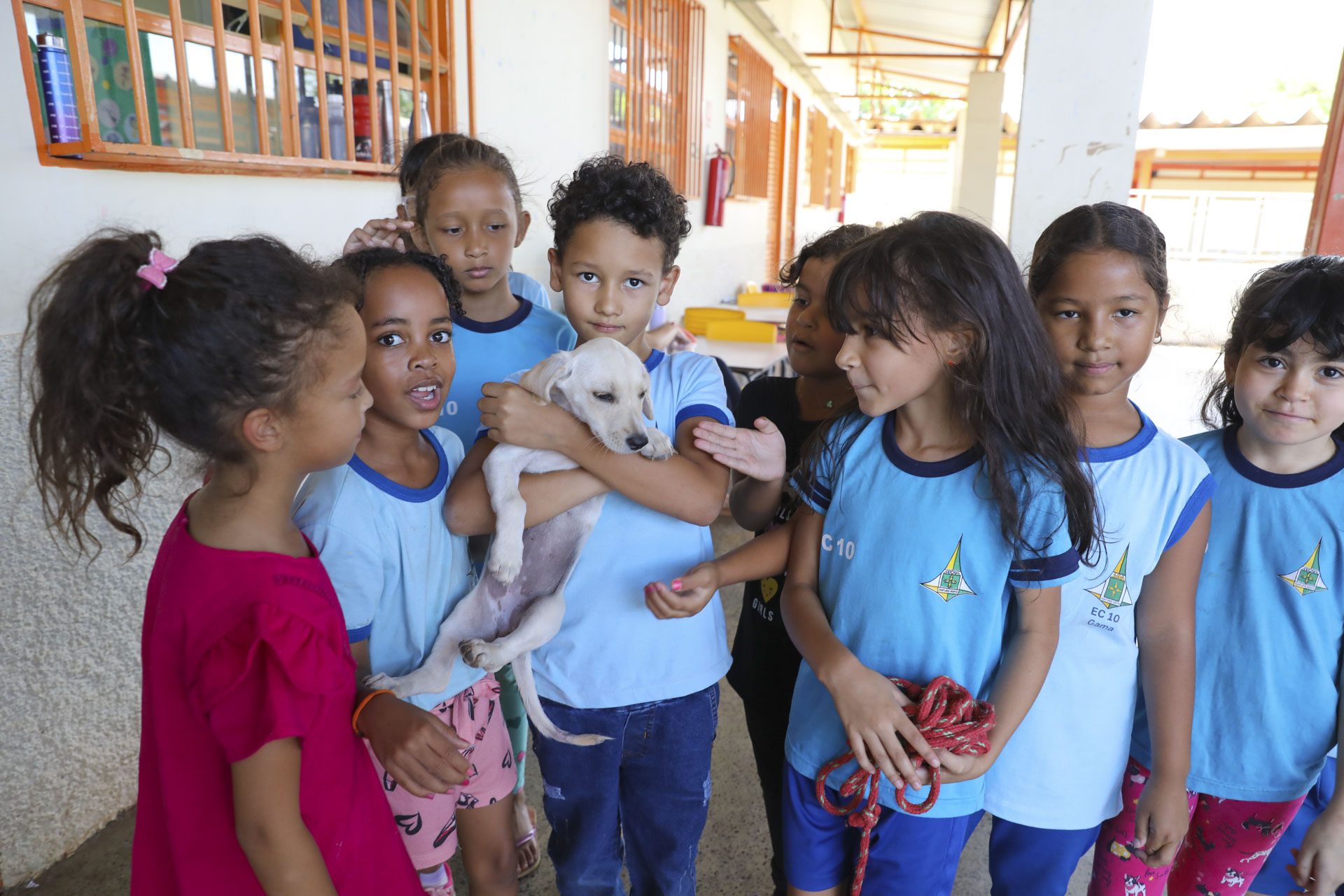 Escola do Gama adota cachorrinha resgatada pelo Castra DF e transforma rotina dos alunos