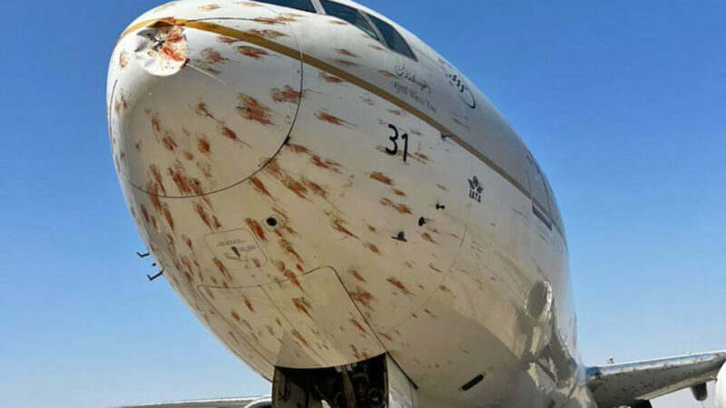 avião atinge pássaros na decolagem e fica coberto de sangue