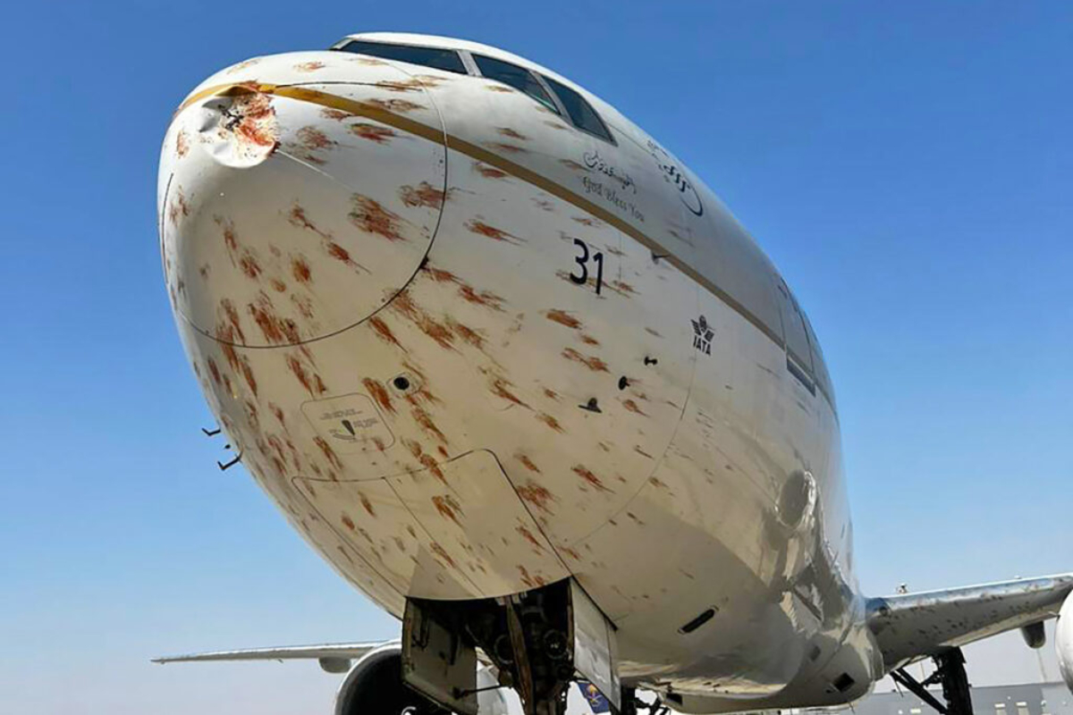 avião atinge pássaros na decolagem e fica coberto de sangue