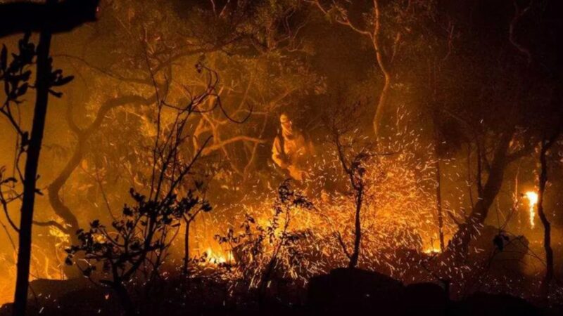Após chuva, combate a incêndio na Chapada dos Veadeiros chega ao fim