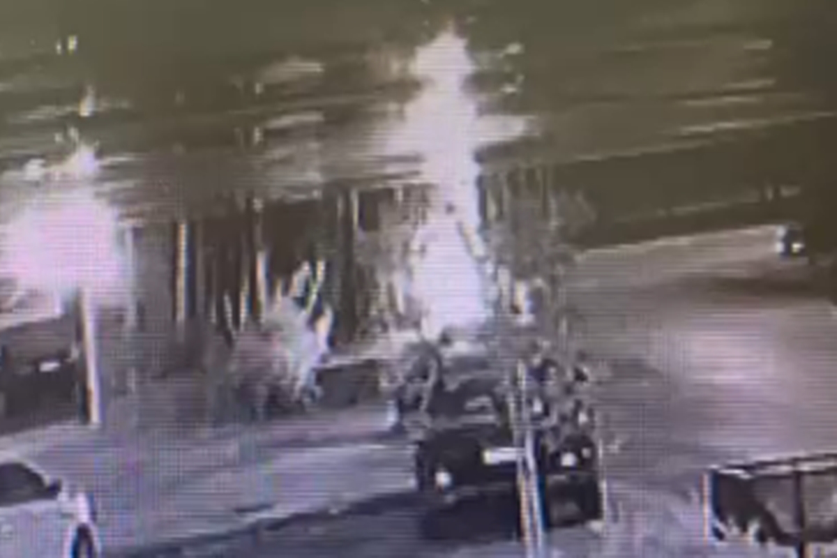 Homem que colocou fogo em gameleira de 40 anos é advogado no DF