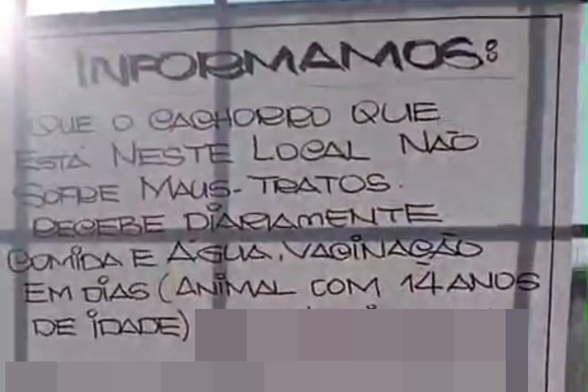 Dupla é presa após deixar cachorro idoso abandonado em lote no DF