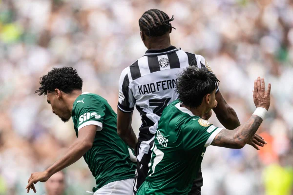 Botafogo perde mais um titular para a temporada. Confira