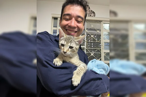 TJ nega pedido de soltura de psicólogo que torturou e matou 20 gatos