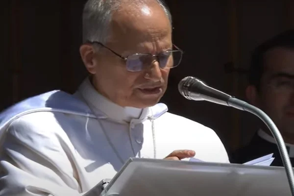 Papa Leão XIV realiza “sonho” de Francisco em 1ª viagem ao exterior