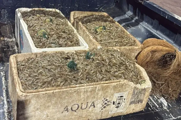 Pesca ilegal: homens são presos com 100 kg de camarão no Lago Paranoá