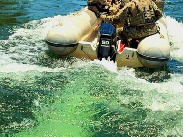 Operação da PF destrói 286 mil pés de maconha em Pernambuco