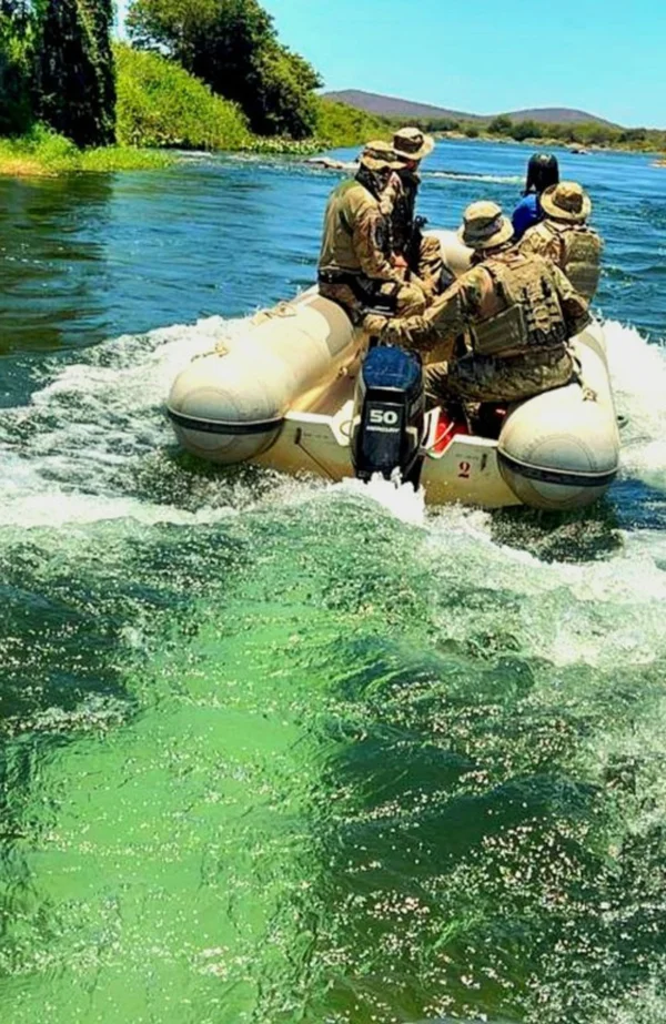 Operação da PF destrói 286 mil pés de maconha em Pernambuco